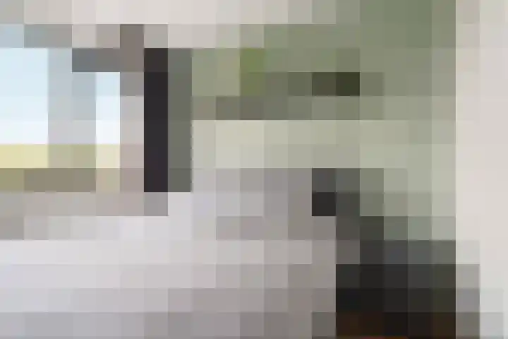 Osirispad 9 Almere thumbnail 23