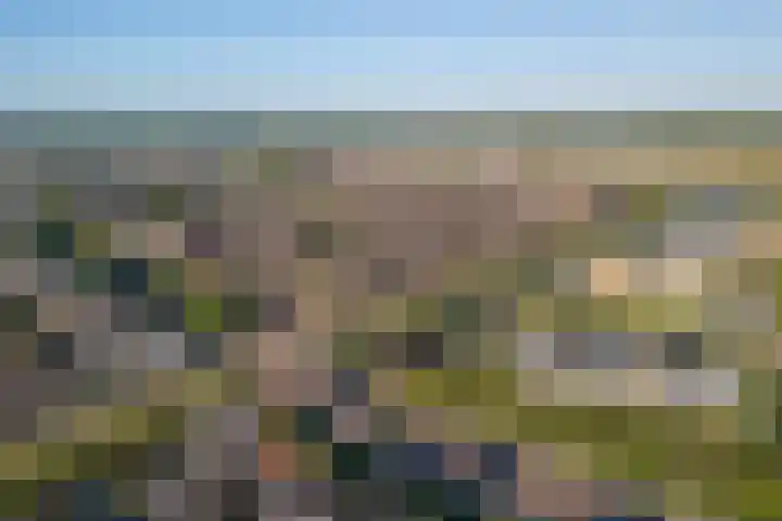 Osirispad 9 Almere thumbnail 32