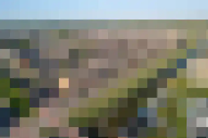 Osirispad 9 Almere thumbnail 7