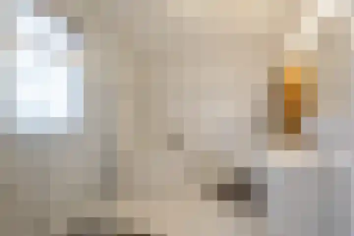 Ossegang 6 Uithuizen thumbnail 13