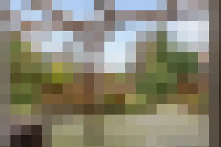 Ossegang 6 Uithuizen thumbnail 17
