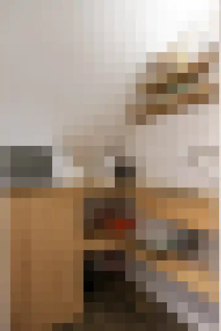 Ossegang 6 Uithuizen thumbnail 23