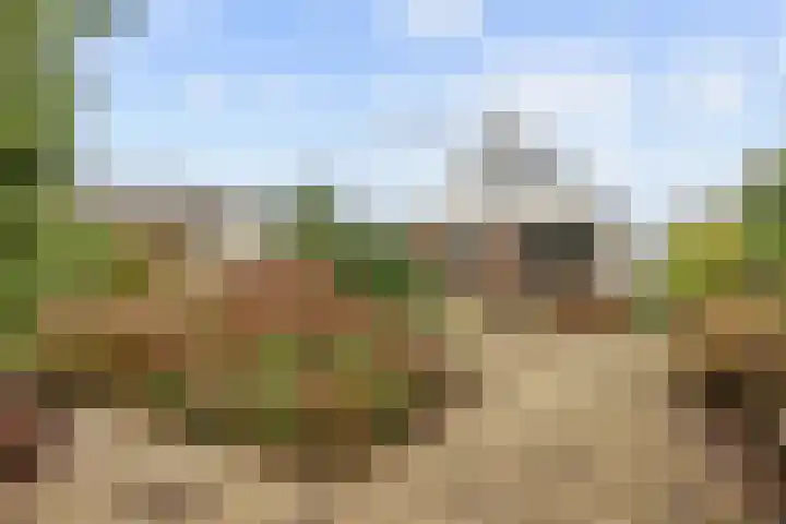 Ossegang 6 Uithuizen thumbnail 38