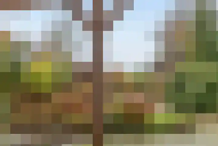 Ossegang 6 Uithuizen thumbnail 39