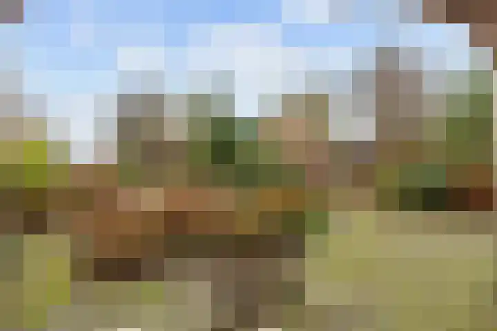 Ossegang 6 Uithuizen thumbnail 40