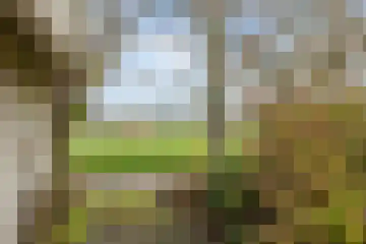 Ossegang 6 Uithuizen thumbnail 42
