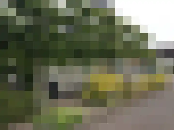 Ossegang 6 Uithuizen thumbnail 44