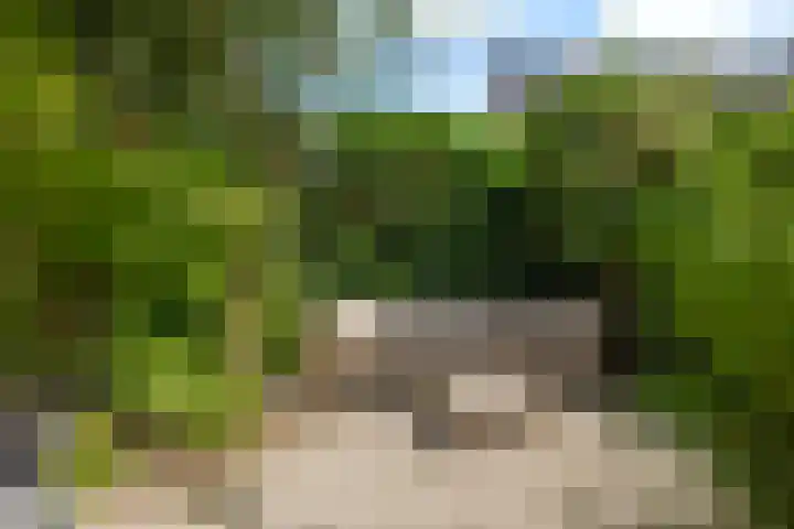 Ossendamweg 20 Soest thumbnail 18
