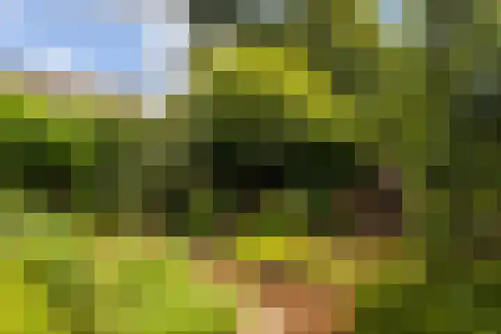 Ossendamweg 20 Soest thumbnail 20