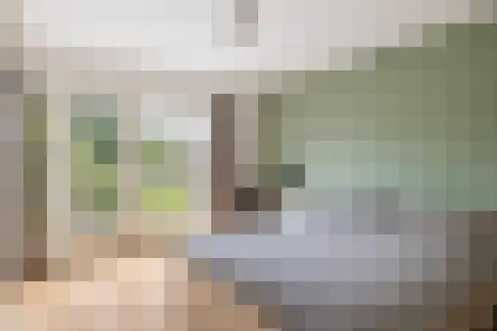Ossendamweg 20 Soest thumbnail 24