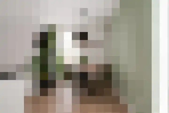 Ossenkamppad 1 Zevenaar thumbnail 11