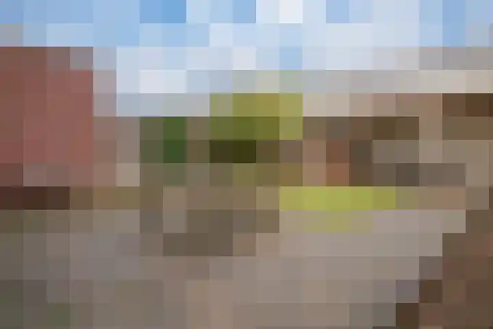 Ossenkamppad 1 Zevenaar thumbnail 19
