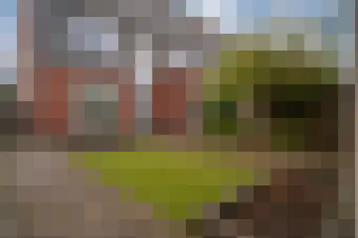 Ossenkamppad 1 Zevenaar thumbnail 23