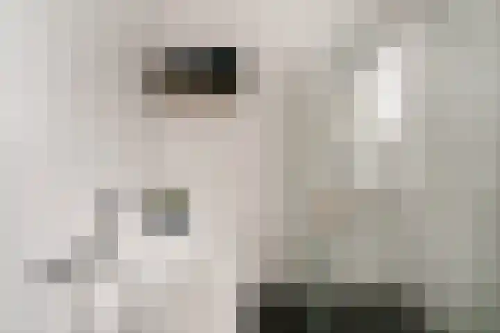 Ossenkamppad 1 Zevenaar thumbnail 33
