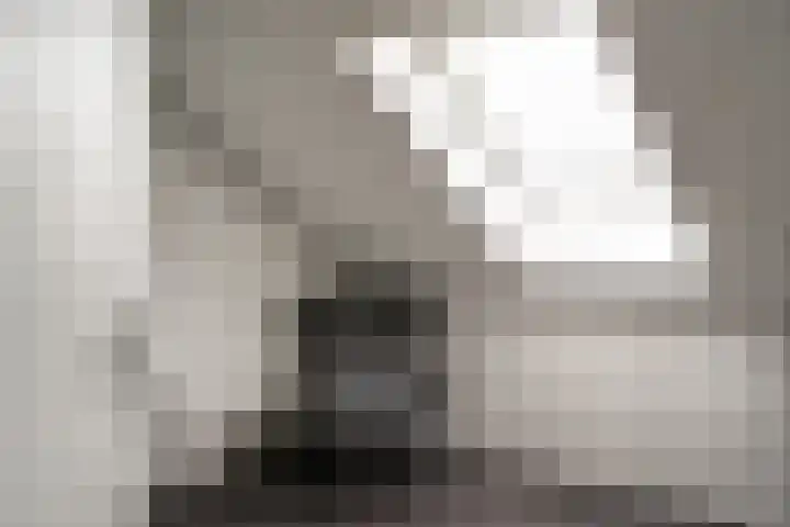 Ossenkamppad 1 Zevenaar thumbnail 35