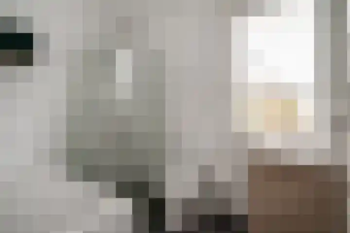 Ossenkamppad 1 Zevenaar thumbnail 4