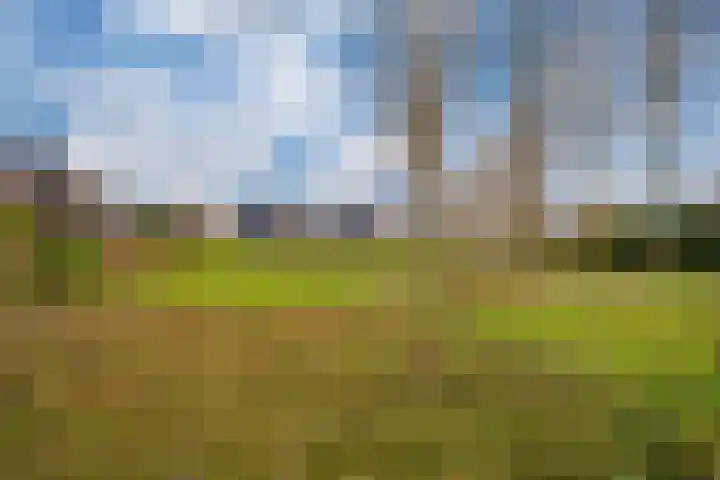 Ossenkamppad 1 Zevenaar thumbnail 41