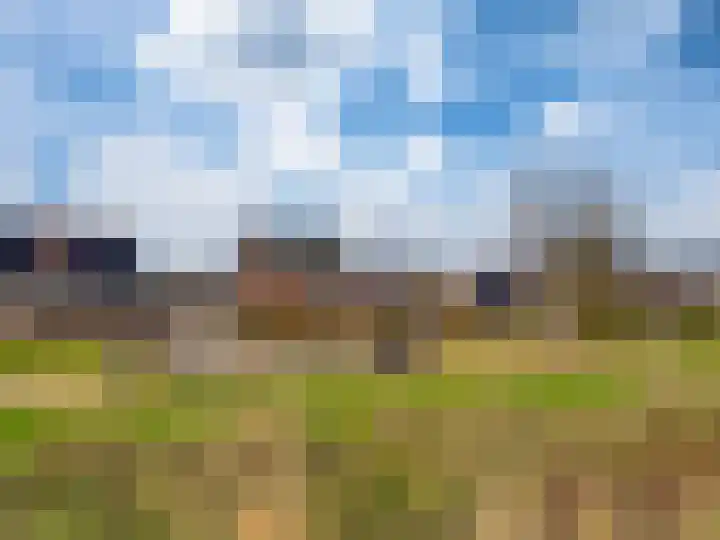 Ossenkamppad 1 Zevenaar thumbnail 42