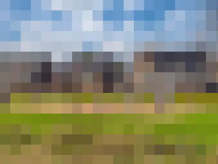 Ossenkamppad 1 Zevenaar thumbnail 43