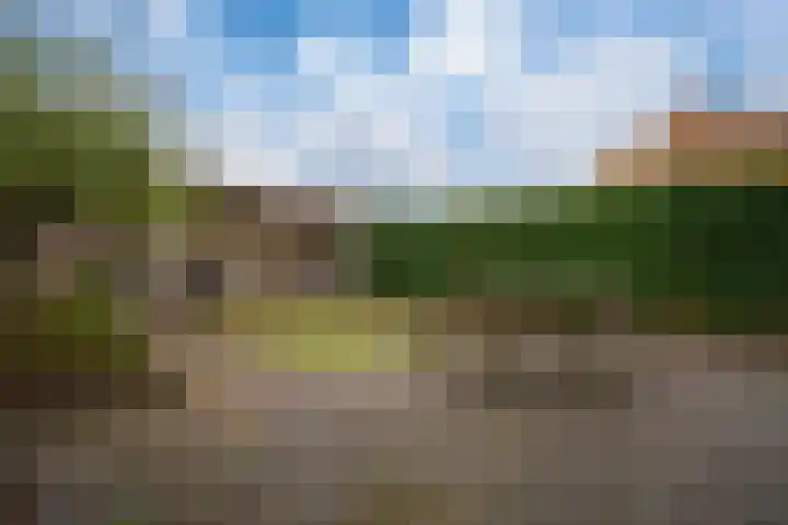 Ossenkamppad 1 Zevenaar thumbnail 5
