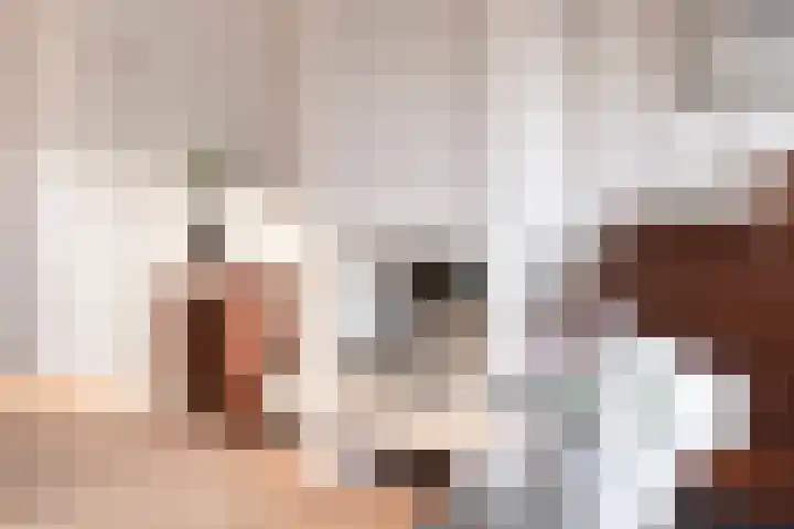 Ossenkoppelerlaan 4 Almelo thumbnail 11