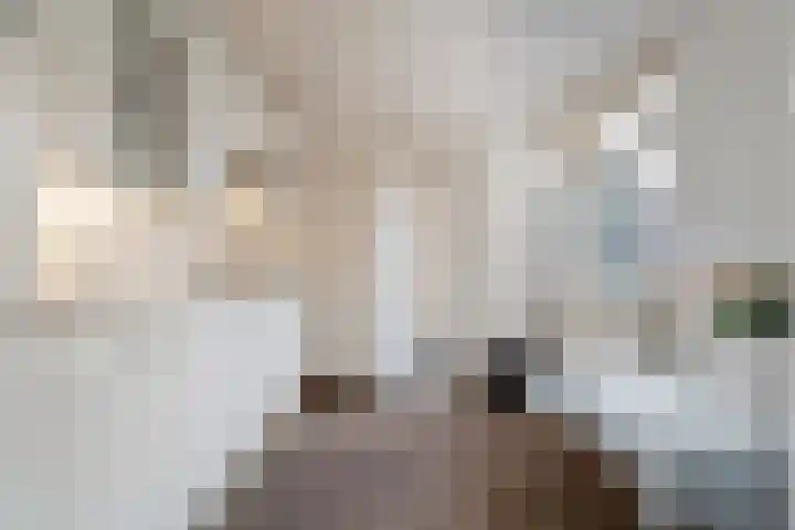 Ossenkoppelerlaan 4 Almelo thumbnail 14