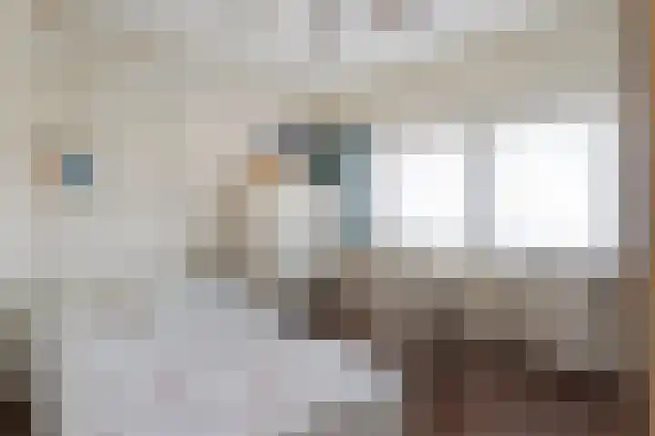 Ossenkoppelerlaan 4 Almelo thumbnail 18