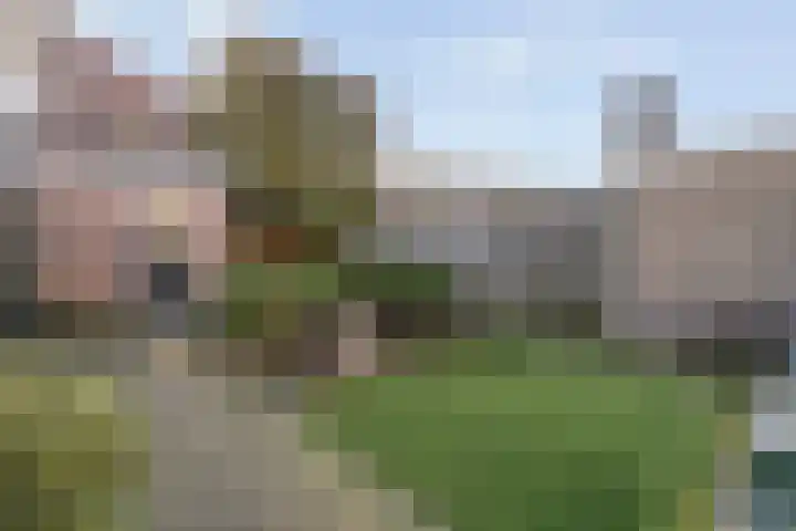 Ossenkoppelerlaan 4 Almelo thumbnail 24