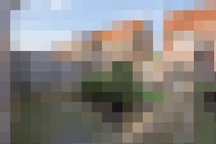 Ossenkoppelerlaan 4 Almelo thumbnail 27