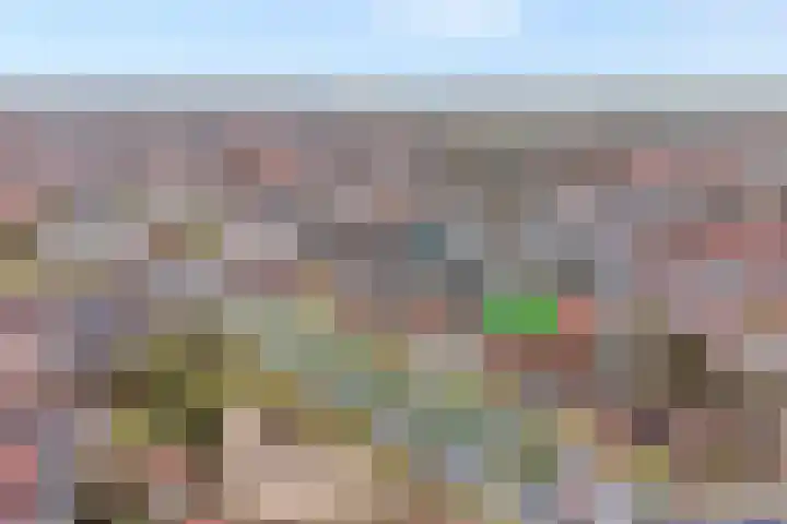 Ossenkoppelerlaan 4 Almelo thumbnail 29