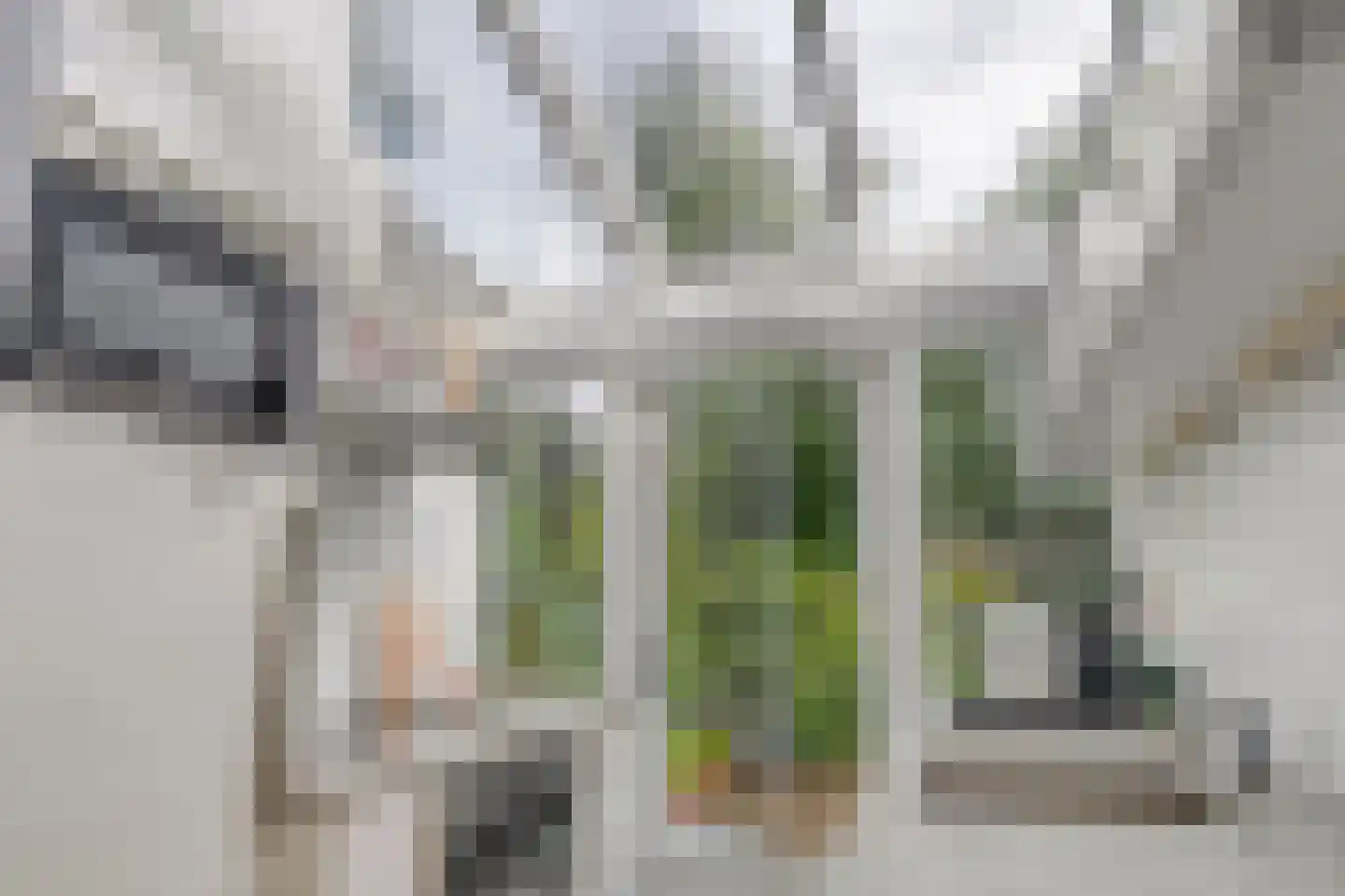 Ossenmarkt 25 Weesp thumbnail 21