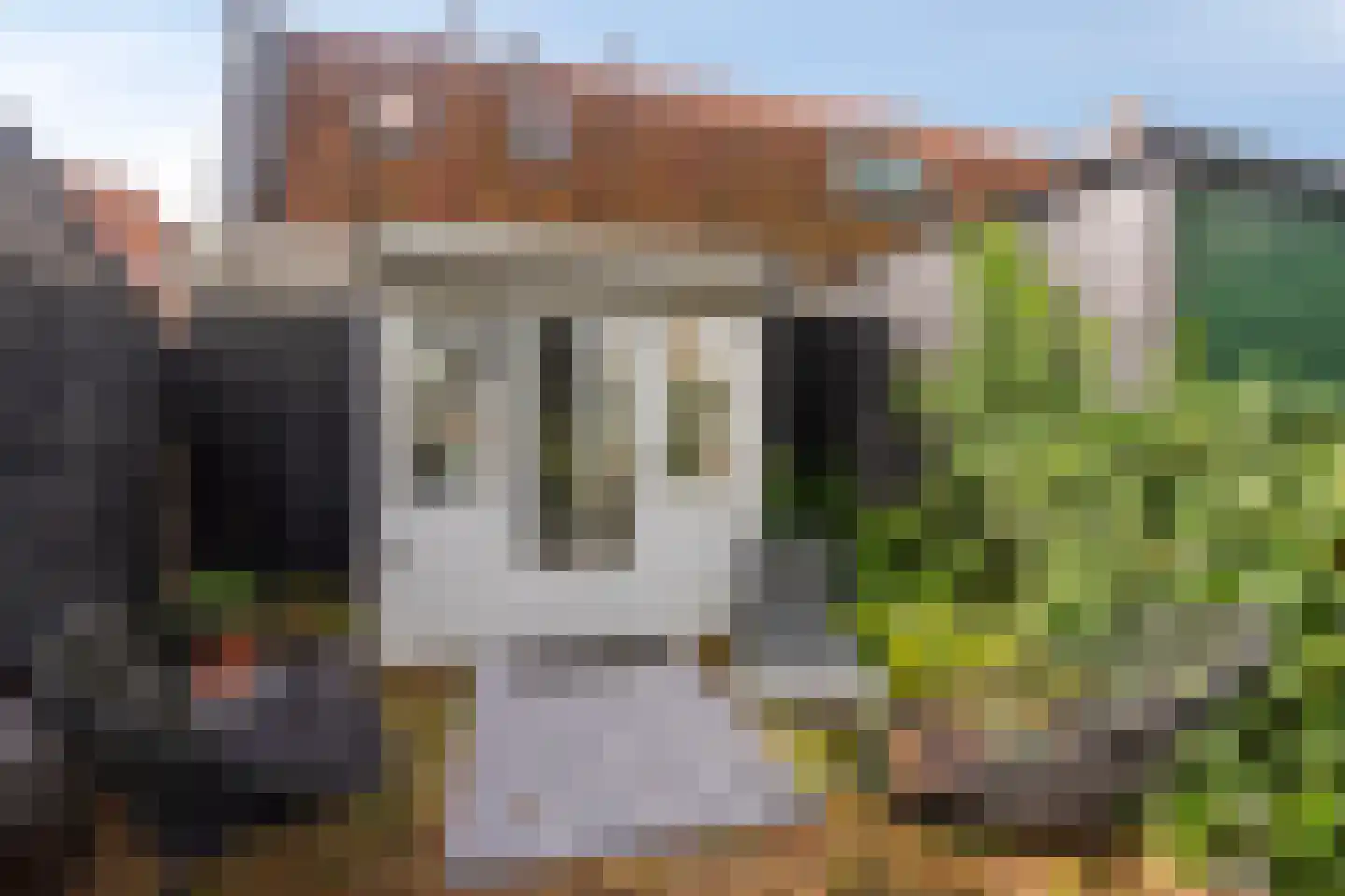 Ossenmarkt 25 Weesp thumbnail 34