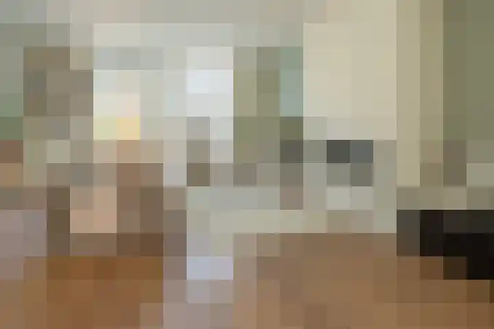 Ossewei 12 Rossum thumbnail 14