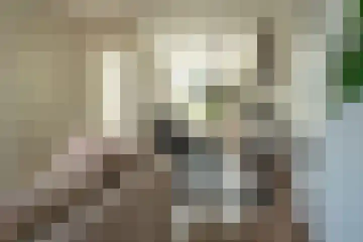 Ossewei 12 Rossum thumbnail 22
