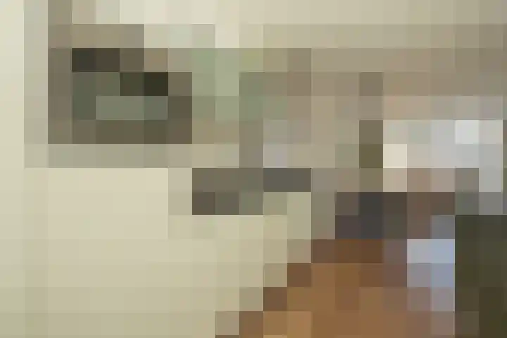 Ossewei 12 Rossum thumbnail 27
