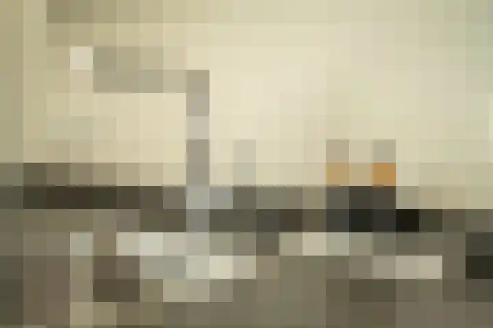 Ossewei 12 Rossum thumbnail 28
