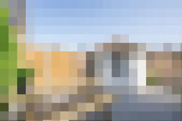 Ossewei 12 Rossum thumbnail 31