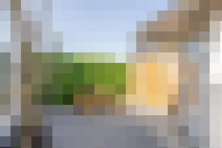 Ossewei 12 Rossum thumbnail 32