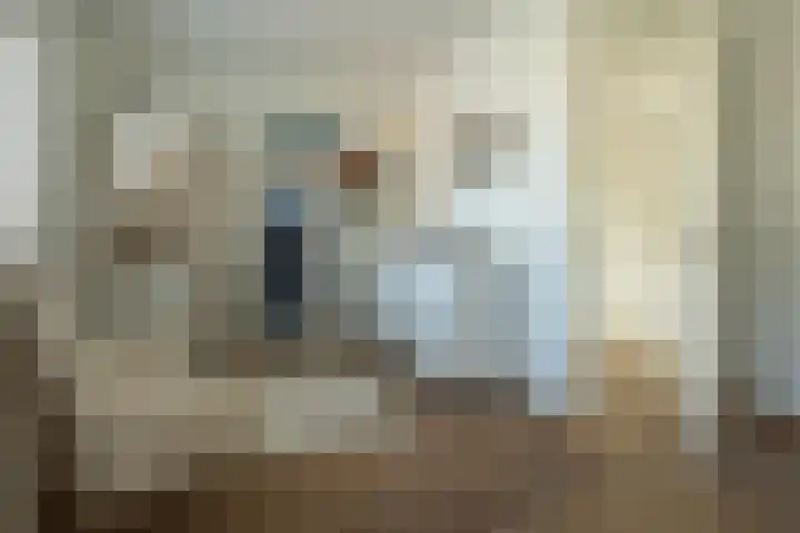 Ossewei 12 Rossum thumbnail 40