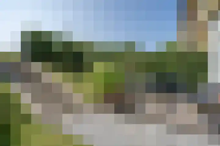 Ossewei 12 Rossum thumbnail 5