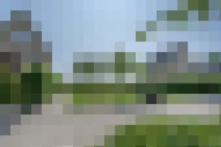 Ossewei 12 Rossum thumbnail 50