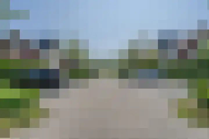 Ossewei 12 Rossum thumbnail 51