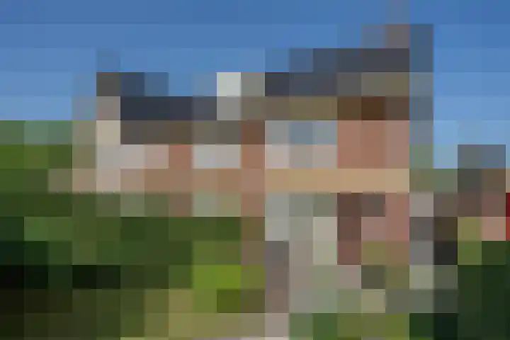 Ossewei 12 Rossum thumbnail 6