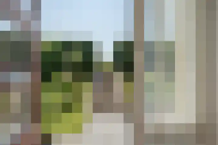 Ossewei 12 Rossum thumbnail 8