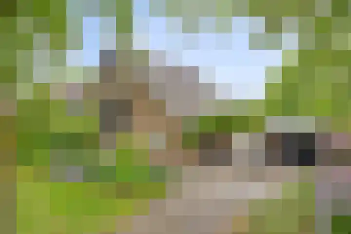 Ostaderstraat 6 Asten thumbnail 10