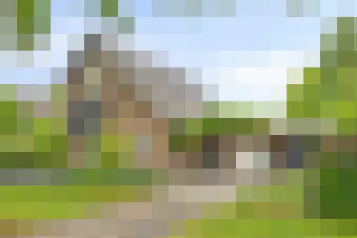 Ostaderstraat 6 Asten thumbnail 13