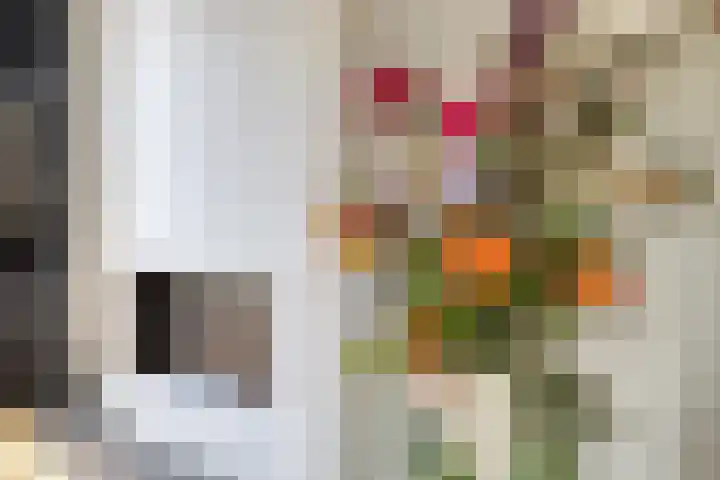 Ostaderstraat 6 Asten thumbnail 23