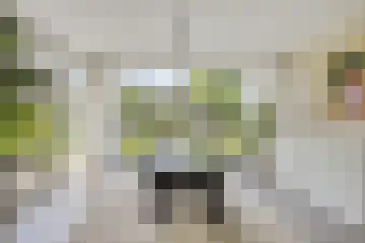 Ostaderstraat 6 Asten thumbnail 32