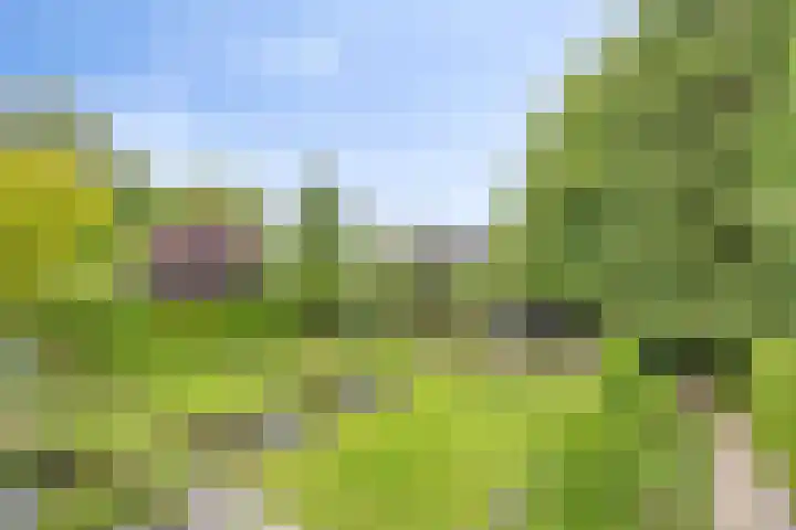 Ostaderstraat 6 Asten thumbnail 6