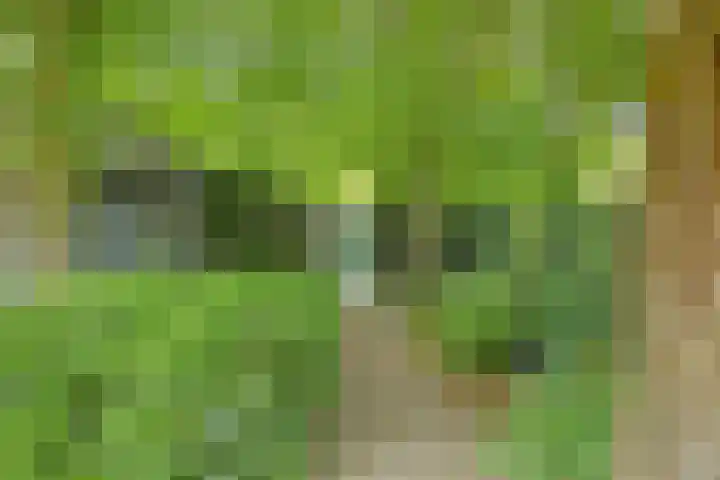 Ostaderstraat 6 Asten thumbnail 62